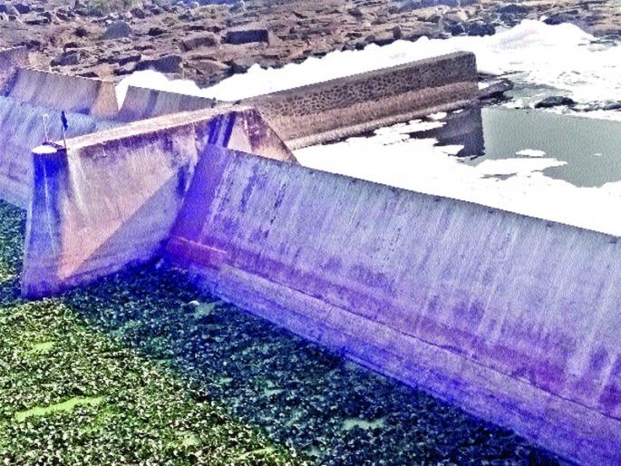 Ekalatat Fasalali Godavari | एकलहरेत फेसाळली गोदावरी Ekalatat Fasalali Godavari | एकलहरेत फेसाळली गोदावरी