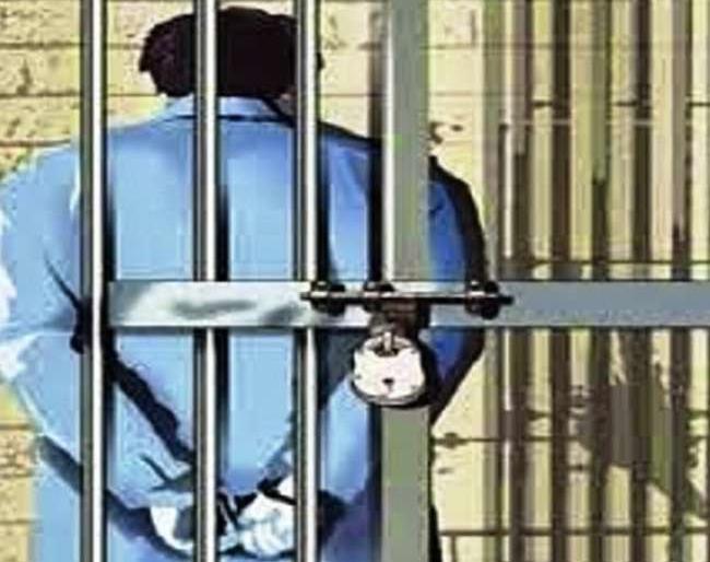  Three Dacoits for seven days | तिघा दरोडेखोरांना  सात दिवसांची कोठडी