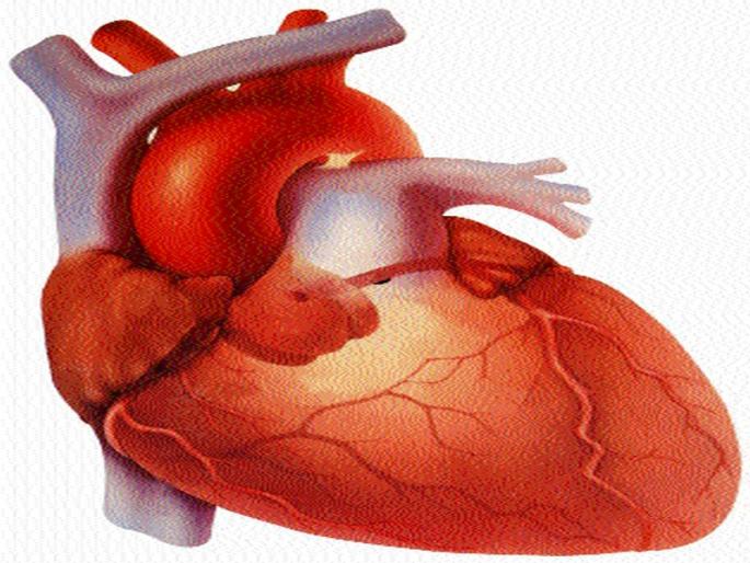 Stress causes young people to suffer 'heart attack' | ताण-तणावामुळे तरुणांना बसतोय हृदयरोगाचा ‘झटका’ Stress causes young people to suffer 'heart attack' | ताण-तणावामुळे तरुणांना बसतोय हृदयरोगाचा ‘झटका’