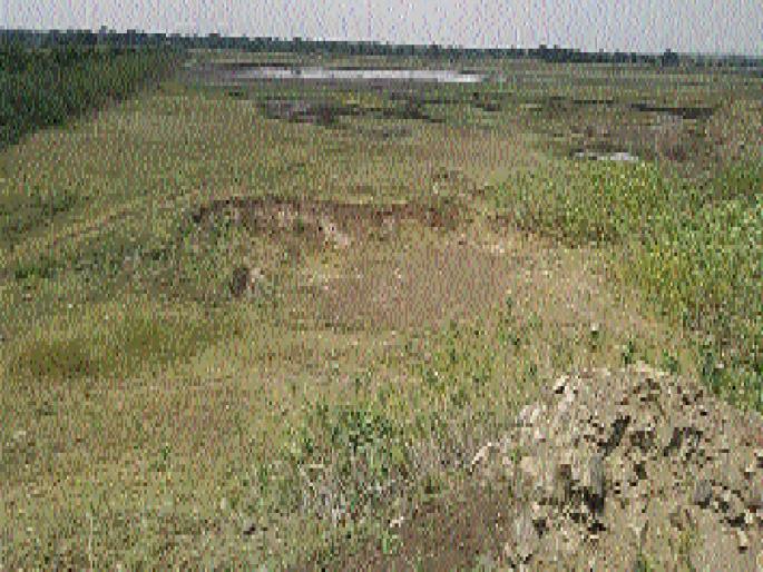 Due to drought of white gold this year! | पांढऱ्या सोन्याला यंदा दुष्काळाचा गंज ! Due to drought of white gold this year! | पांढऱ्या सोन्याला यंदा दुष्काळाचा गंज !