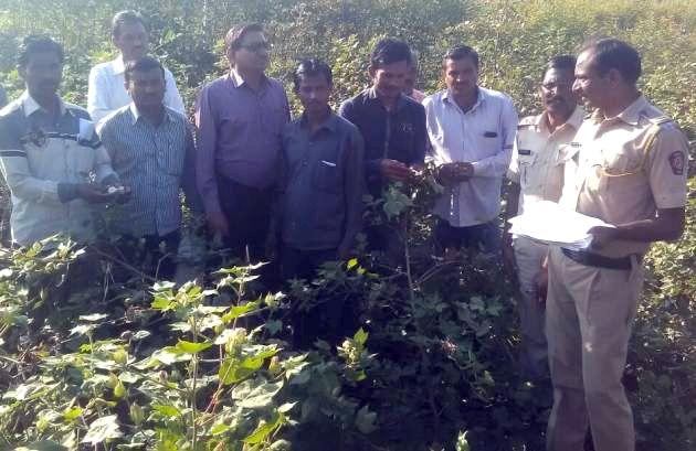 Cheating Crimes Against Two Bt Seed Companies In Amravati | अमरावतीत अखेर दोन बीटी बियाणे कंपन्यांविरुद्ध फसवणुकीचा गुन्हा Cheating Crimes Against Two Bt Seed Companies In Amravati | अमरावतीत अखेर दोन बीटी बियाणे कंपन्यांविरुद्ध फसवणुकीचा गुन्हा