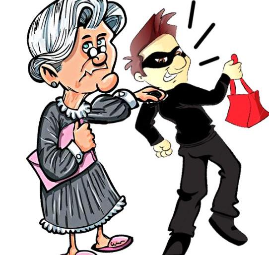 Brave Old lady catched the thief | बहाद्दर आजीबाईंनी चोरट्याला केले जेरबंद