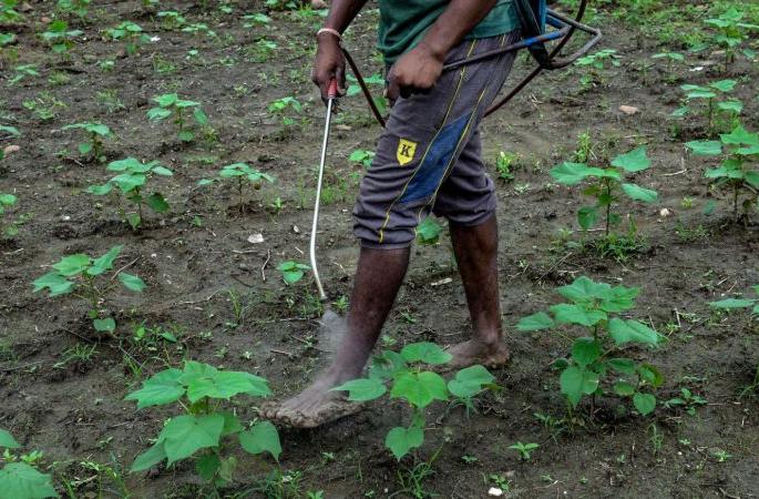 Farmers may careful of bogus fertilizers; fraud by organic name | शेतकऱ्यांनो बोगस खतापासून सावधान; सेंद्रीयच्या नावाने बनवाबनवी