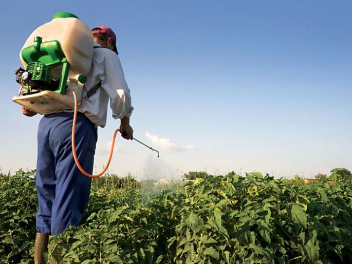 Rates of chemical fertilizers are increased | रासायनिक खतांच्या किमती भडकल्या Rates of chemical fertilizers are increased | रासायनिक खतांच्या किमती भडकल्या