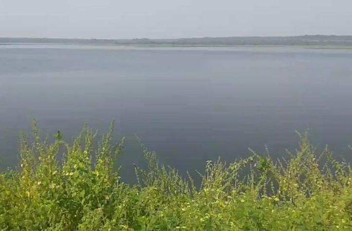 63.68 percent water stock in 4 99 projects in western Vidarbha! | पश्चिम विदर्भातील ४९९ प्रकल्पांत ६३.६८ टक्के पाणीसाठा!