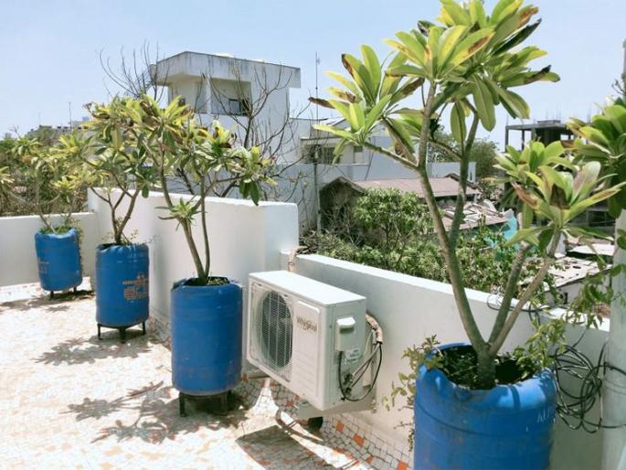 Control of temperature by placing 25 trees on the roof | छतावर चाफ्याची २५ झाडे लावून तापमानाचे नियंत्रण
