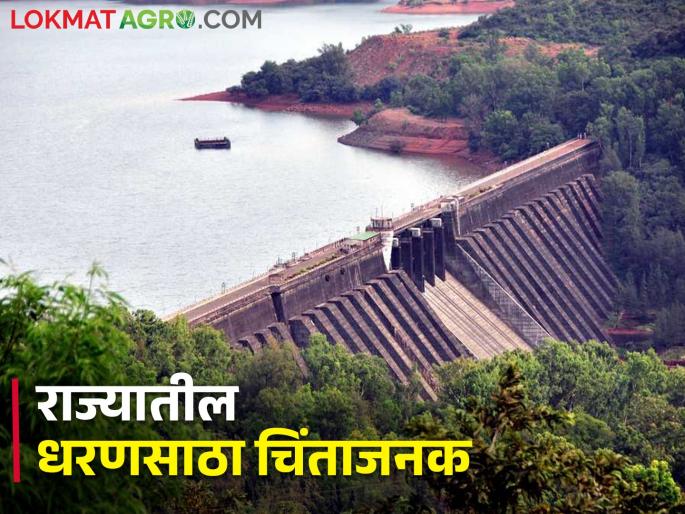 Alarming! 46.60 percent water remaining in the dams of the state now, how much stock in which dam? | चिंताजनक! राज्यातील धरणांमध्ये आता ४६.६० टक्के पाणी शिल्लक, कोणत्या धरणात किती साठा? Alarming! 46.60 percent water remaining in the dams of the state now, how much stock in which dam? | चिंताजनक! राज्यातील धरणांमध्ये आता ४६.६० टक्के पाणी शिल्लक, कोणत्या धरणात किती साठा?