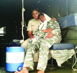 shepherds,attack,forest,officers,buldana | मेंढपाळांचा वन्यजीव विभागाच्या कर्मचा-यांवर हल्ला shepherds,attack,forest,officers,buldana | मेंढपाळांचा वन्यजीव विभागाच्या कर्मचा-यांवर हल्ला