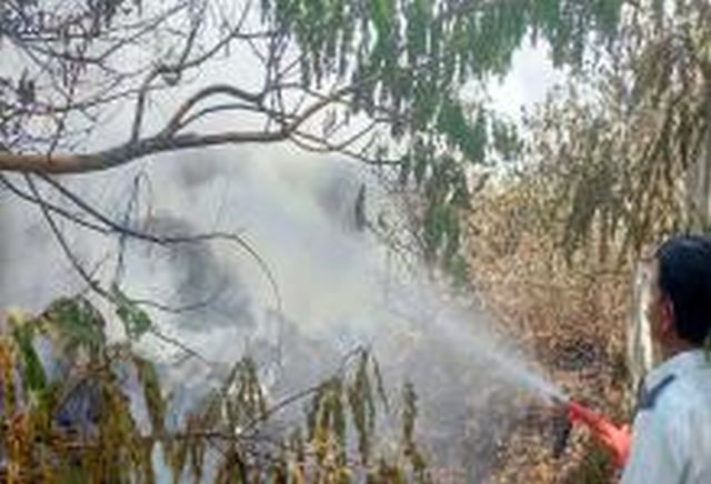 A bamboo grove in a camel's nest | उंटवाडीत बांबूची वृक्षसंपदा आगीच्या भक्ष्यस्थानी A bamboo grove in a camel's nest | उंटवाडीत बांबूची वृक्षसंपदा आगीच्या भक्ष्यस्थानी