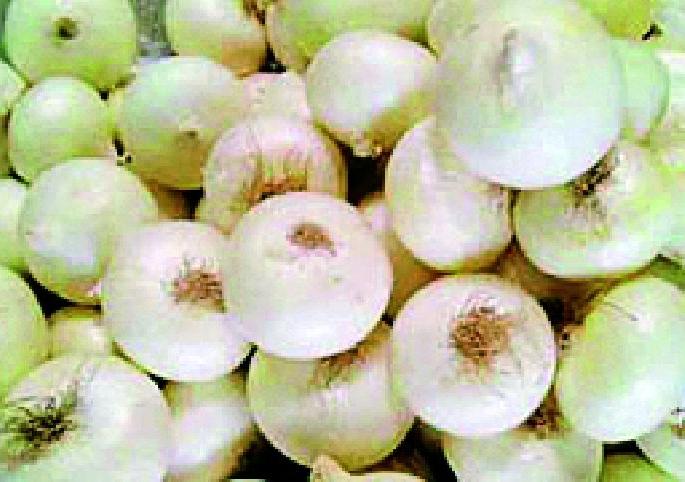 Hundreds of onions will reach Diwali | दिवाळीत कांदा गाठणार शंभरी Hundreds of onions will reach Diwali | दिवाळीत कांदा गाठणार शंभरी