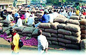Grounds on market committee directors due to repair by Subdivision | उपविधी दुरुस्तीमुळे बाजार समिती संचालकांवर गंडांतर Grounds on market committee directors due to repair by Subdivision | उपविधी दुरुस्तीमुळे बाजार समिती संचालकांवर गंडांतर