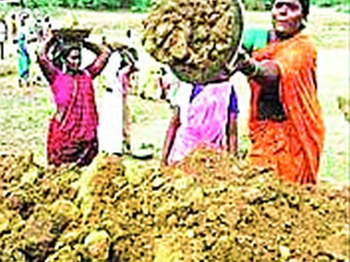 RAHYO accused | रोहयोच्या आरोपींना राजाश्रय RAHYO accused | रोहयोच्या आरोपींना राजाश्रय