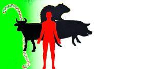 Amravati workers, avoid traversal in irrigated water | अमरावतीकरांनो, साचलेल्या पाण्यातून मार्गक्रमण टाळा Amravati workers, avoid traversal in irrigated water | अमरावतीकरांनो, साचलेल्या पाण्यातून मार्गक्रमण टाळा