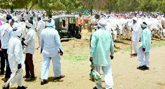 The bull market is in danger | बैलबाजाराचे अस्तित्व धोक्यात The bull market is in danger | बैलबाजाराचे अस्तित्व धोक्यात