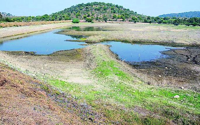 University lake dry before summer | विद्यापीठाचा तलाव उन्हाळ्यापूर्वीच कोरडा