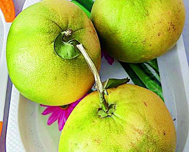 The 'chakra' rhythm of agriculture festival is heavy; 'Rizwan' too dominate | कृषी महोत्सवातील ‘चकोत्रा’ लय भारी; ‘रिझवान’चाही बोलबाला