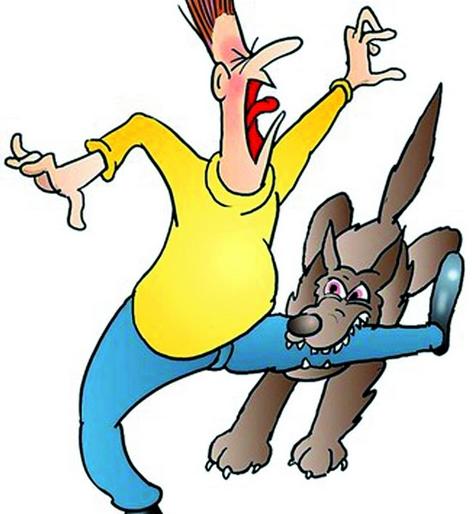 Dog bites on 22 people who are sleeping outside the house | घराबाहेर झोपलेल्या २२ जणांना पिसाळलेल्या कुत्र्याचा चावा Dog bites on 22 people who are sleeping outside the house | घराबाहेर झोपलेल्या २२ जणांना पिसाळलेल्या कुत्र्याचा चावा