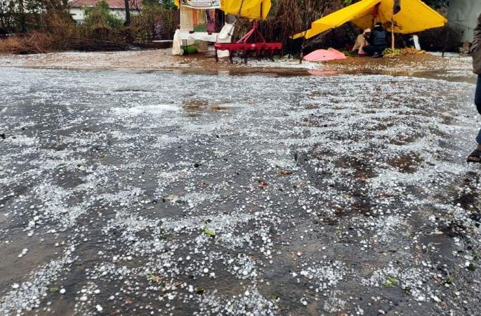 Hail with rain in Vidarbha on the second day also | विदर्भात दुसऱ्या दिवशीही पावसासह गारपीट