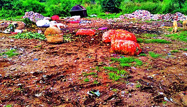 Dead animals are thrown there | तिथे फेकली जातात मृत जनावरे Dead animals are thrown there | तिथे फेकली जातात मृत जनावरे