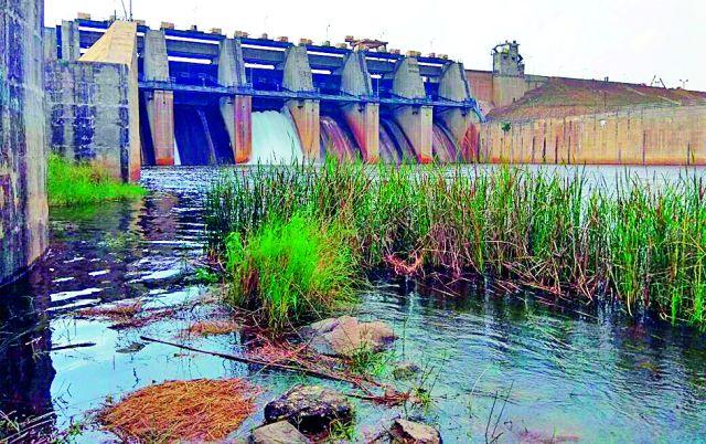 Waterfall from Bavanthadi dam | बावनथडी धरणातून पाण्याचा विसर्ग