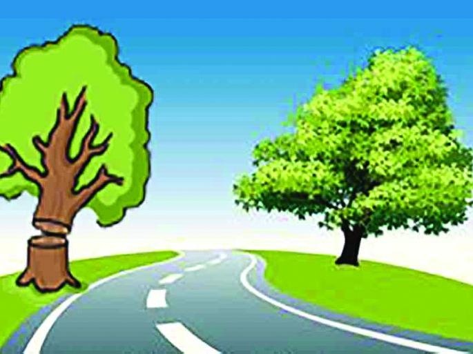 More 1200 tree will cut for road development | रस्त्यांच्या विकासात जाणार आणखी १२०० वृक्षांचा बळी More 1200 tree will cut for road development | रस्त्यांच्या विकासात जाणार आणखी १२०० वृक्षांचा बळी