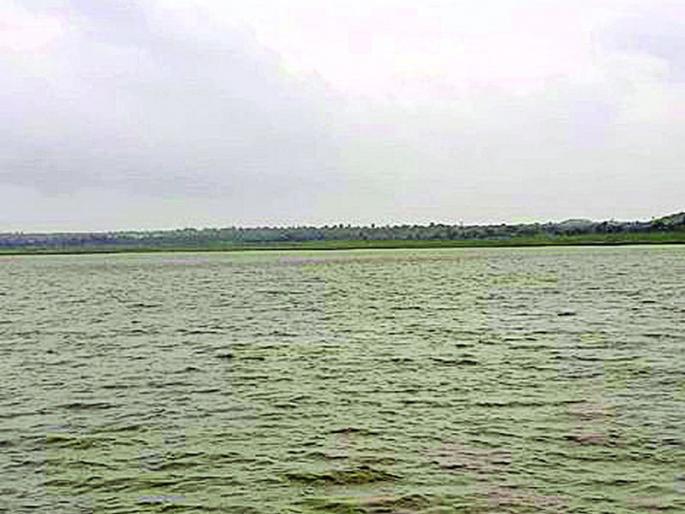 Seven projects full; The water concerns of the Buldana district were relieved | सात प्रकल्प तुडूंब; बुलडाणा जिल्ह्याची पाण्याची चिंता मिटली Seven projects full; The water concerns of the Buldana district were relieved | सात प्रकल्प तुडूंब; बुलडाणा जिल्ह्याची पाण्याची चिंता मिटली
