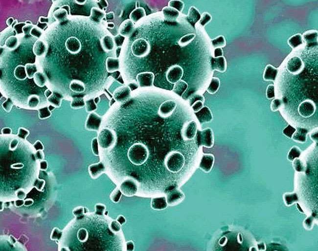 Conclusion of Corona Awareness Program in Pathre | पाथरेत कोरोना जनजागृती कार्यक्रमाची सांगता Conclusion of Corona Awareness Program in Pathre | पाथरेत कोरोना जनजागृती कार्यक्रमाची सांगता