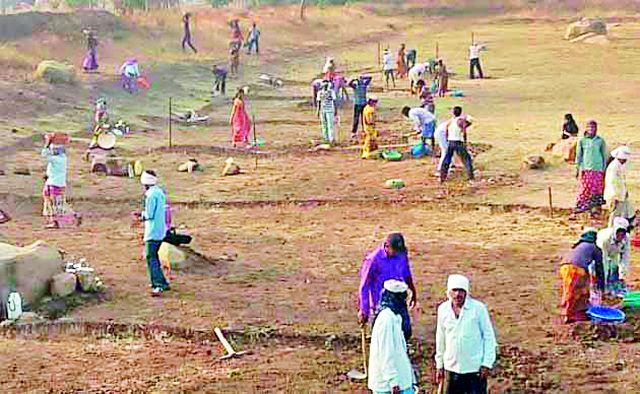 7 thousand laborers in Rohayo's work in the original taluka | मूल तालुक्यात रोहयोच्या कामांवर राबतात ७ हजार मजूर