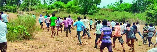 Tigers in the river area | नदी परिसरातील झुडपात वाघ Tigers in the river area | नदी परिसरातील झुडपात वाघ