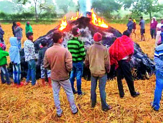 Rice burns in flames | धानाचे पुंजणे आगीत भस्मसात Rice burns in flames | धानाचे पुंजणे आगीत भस्मसात