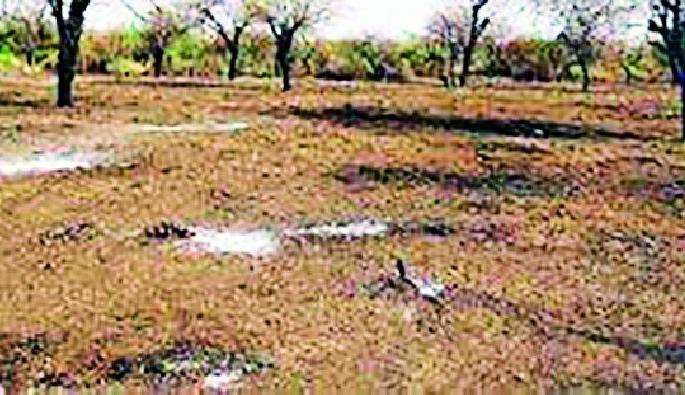 448 villages got 53 thousand 978 hectares of land | ४४८ गावांना मिळाली ५३ हजार ९७८ हेक्टर जमीनमालकी 448 villages got 53 thousand 978 hectares of land | ४४८ गावांना मिळाली ५३ हजार ९७८ हेक्टर जमीनमालकी