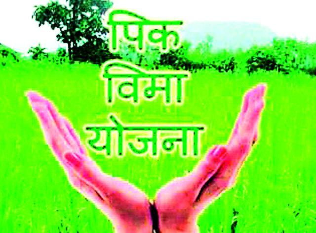 Lessons to the non-loan farmers' crop loans | बिगर कर्जदार शेतकऱ्यांची पीक कर्जाकडे पाठ Lessons to the non-loan farmers' crop loans | बिगर कर्जदार शेतकऱ्यांची पीक कर्जाकडे पाठ