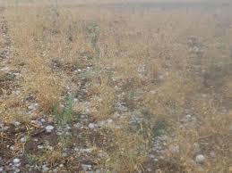 Sleet | वादळी वाऱ्यासह गारांचा पाऊस Sleet | वादळी वाऱ्यासह गारांचा पाऊस