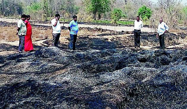 Help for the damaged farmer | नुकसानग्रस्त शेतकऱ्यास मदत Help for the damaged farmer | नुकसानग्रस्त शेतकऱ्यास मदत