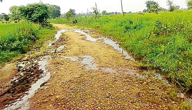 Plight of the Wadi path | वाकडी मार्गाची दुर्दशा Plight of the Wadi path | वाकडी मार्गाची दुर्दशा