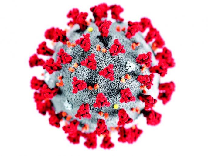 110 new infected with death of two corona infected | दोन कोरोनाबाधितांच्या मृत्यूसह ११० नवीन बाधित 110 new infected with death of two corona infected | दोन कोरोनाबाधितांच्या मृत्यूसह ११० नवीन बाधित