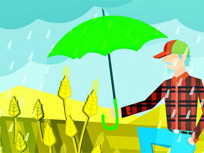 Do you want to take out crop insurance to cover companies? | कंपन्यांचे दुकान भरण्यासाठी पीक विमा काढायचा काय ? Do you want to take out crop insurance to cover companies? | कंपन्यांचे दुकान भरण्यासाठी पीक विमा काढायचा काय ?