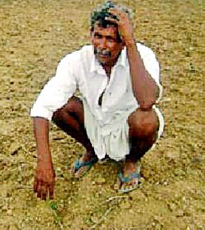 Loan barricades due to salaried reading | चावडी वाचनामुळे कर्जमाफीत अडथळे  Loan barricades due to salaried reading | चावडी वाचनामुळे कर्जमाफीत अडथळे