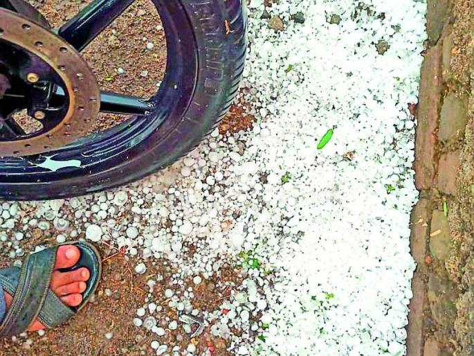 Hailstorms and unseasonal rains in the district | जिल्ह्यात गारपिटीसह अवकाळी पावसाचा कहर Hailstorms and unseasonal rains in the district | जिल्ह्यात गारपिटीसह अवकाळी पावसाचा कहर
