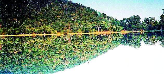 The symbol of cultural tradition is the Tippagad Yatra Festival | सांस्कृतिक परंपरेचे प्रतिक टिप्पागड यात्रा महोत्सव The symbol of cultural tradition is the Tippagad Yatra Festival | सांस्कृतिक परंपरेचे प्रतिक टिप्पागड यात्रा महोत्सव