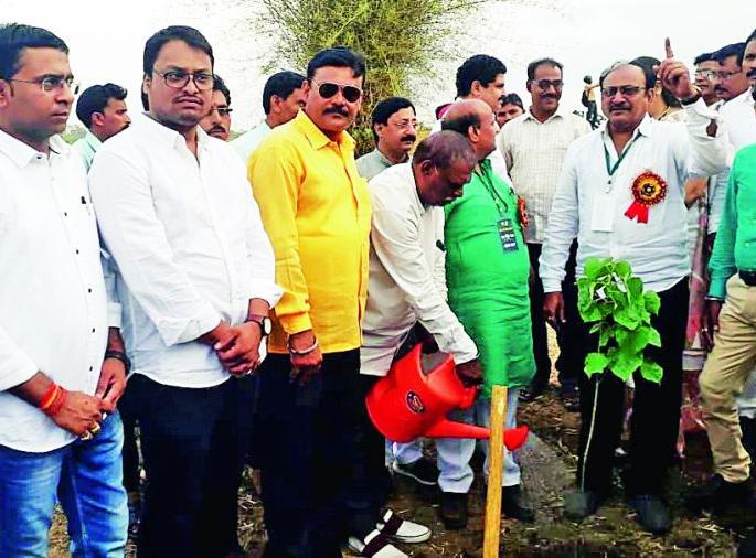 Welcome to the city of the woods | वृक्षदिंडीचे शहरात स्वागत Welcome to the city of the woods | वृक्षदिंडीचे शहरात स्वागत