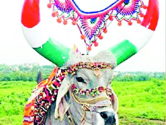 The challenge of maintaining the tradition of the hive | पोळ्याची परंपरा टिकवून ठेवण्याचे आव्हान