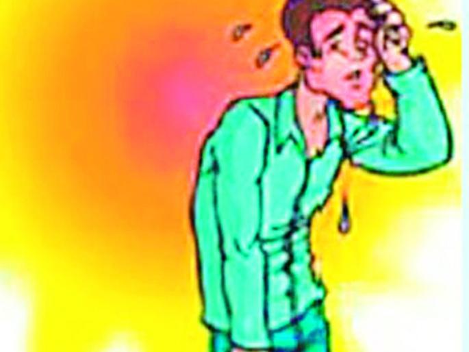 The mercury went past forty years | पारा गेला चाळीशी पार The mercury went past forty years | पारा गेला चाळीशी पार