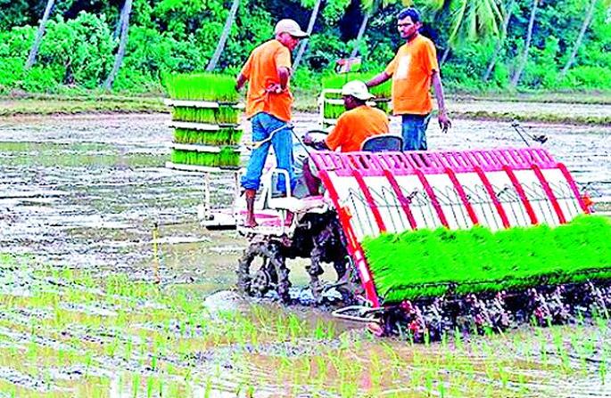 The fountainhead of the advanced agriculture-rich farmers scheme | उन्नत शेती-समृद्ध शेतकरी योजनेचा फज्जा The fountainhead of the advanced agriculture-rich farmers scheme | उन्नत शेती-समृद्ध शेतकरी योजनेचा फज्जा