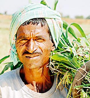 gatasacaivaancayaa-asahakaara-andaolanaanae-karajamaaphaita-khaodaa | गटसचिवांच्या असहकार आंदोलनाने कर्जमाफीत खोडा