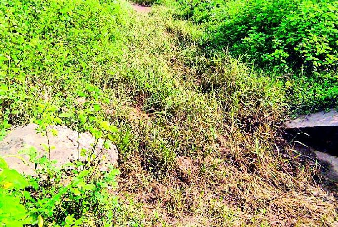 Give enough water to farming | शेतीला पुरेसे पाणी द्या