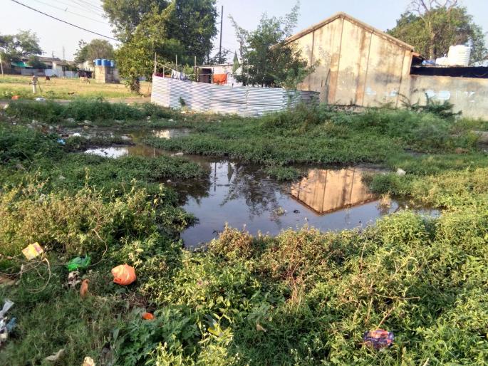 The old police colony | जुन्या पोलीस वसाहतीची दैना The old police colony | जुन्या पोलीस वसाहतीची दैना