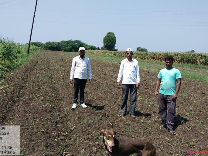 Crops on 16,000 hectares hit in Yeola taluka | येवला तालुक्‍यात १६ हजार हेक्टरवरील पिकांना फटका