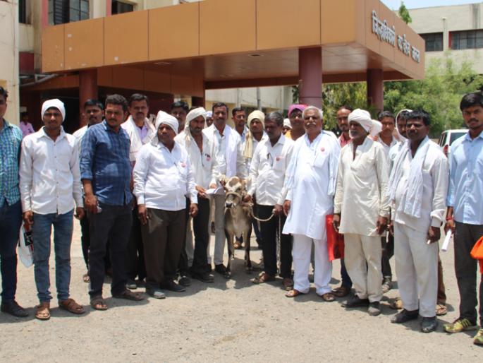 Movement of farmers' union to raise fodder camps | चारा छावण्या उभारण्यासाठी शेतकरी संघटनेचे आंदोलन Movement of farmers' union to raise fodder camps | चारा छावण्या उभारण्यासाठी शेतकरी संघटनेचे आंदोलन