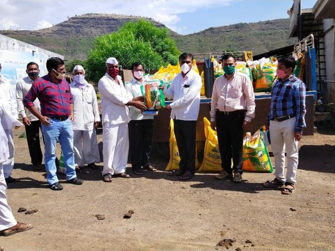 75% sowing in Kalvan taluka | कळवण तालुक्यात ७५ टक्के पेरणी 75% sowing in Kalvan taluka | कळवण तालुक्यात ७५ टक्के पेरणी